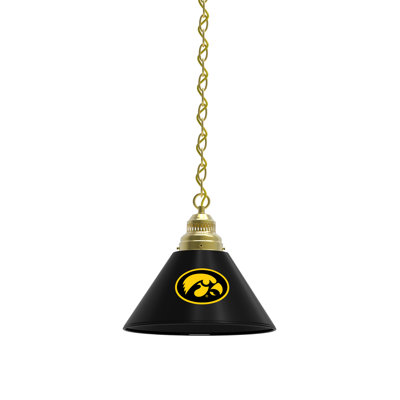 1 - Light Single Pendant
