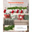 Guirlande Norfolk-863675642