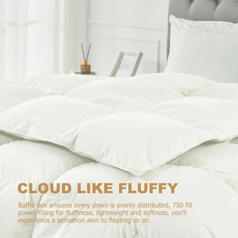 All-Season High Fill Power Feather Down Comforter 100% Cotton Cover Bed Comforter, King