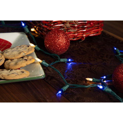  Classic LED T5 Blue/Pure White 100 ct String Christmas Lights 24.75 ft.