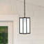 Shalo Outdoor Pendant