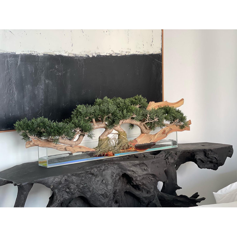 Faux Bonsai Tree in Planter, Dark Green, 10" H x 40" W x 8" D