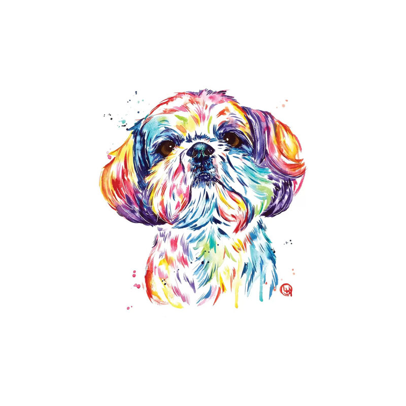 Kiki The Shih Tzu by Lisa Whitehouse - Print on Canvas, Wrapped Canvas, 30.48 cm H x 45.72 cm W