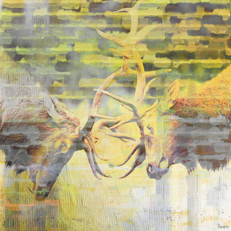 Parvez Taj - Wrapped Canvas Print, 45cm H x 45cm W x 5cm D