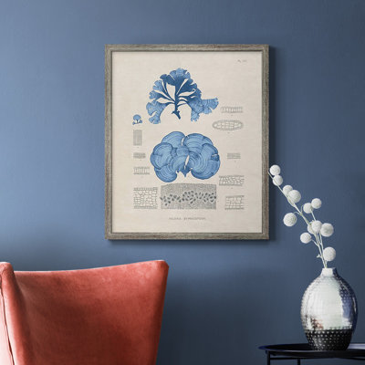 «Blue Marine Algae IV», toile encadrée de qualité supérieure - prête à être accrochée