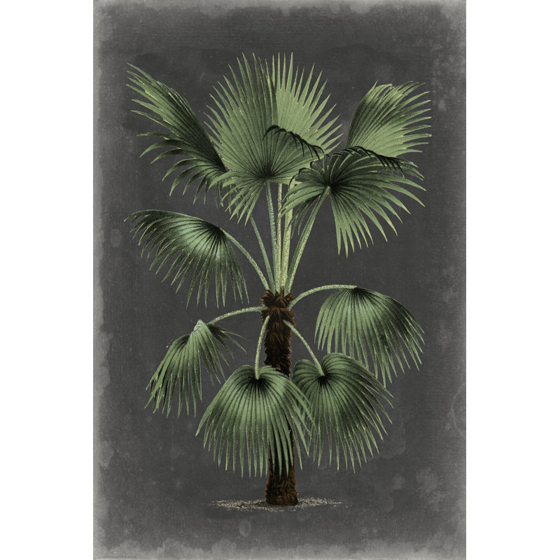 Dramatic Palm II by Vision Studio - Wrapped Canvas Print, 122cm H x 81cm W