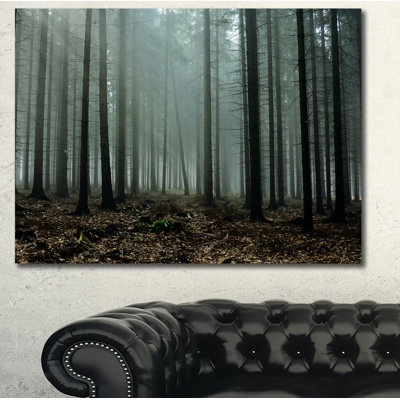 «Gloomy Sunrays in Dark Forest», reproduction de photo sur toile tendue