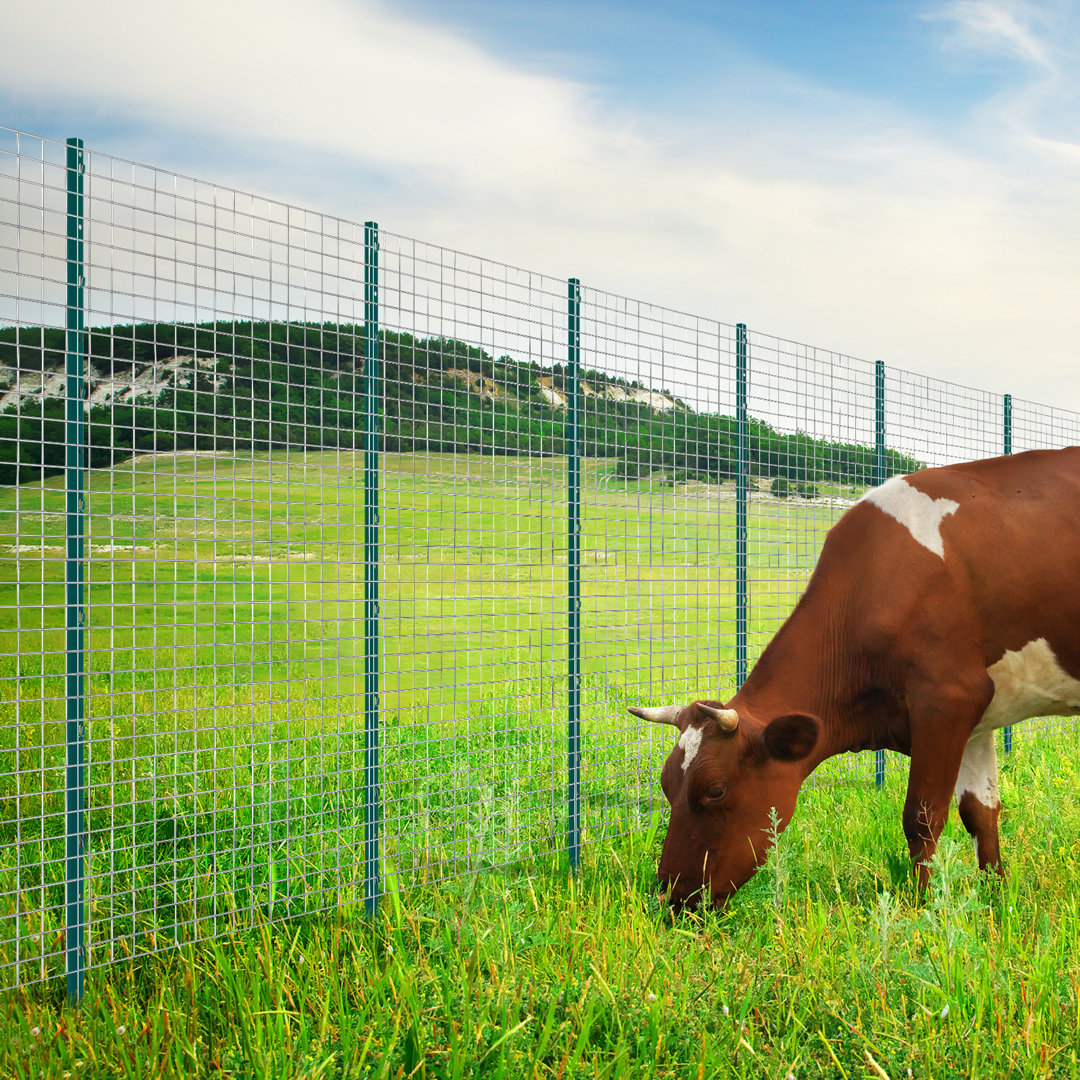 5 Feet Fence Post 10 Pack T-Post Heavy Duty Metal Fence Posts Green VEVOR