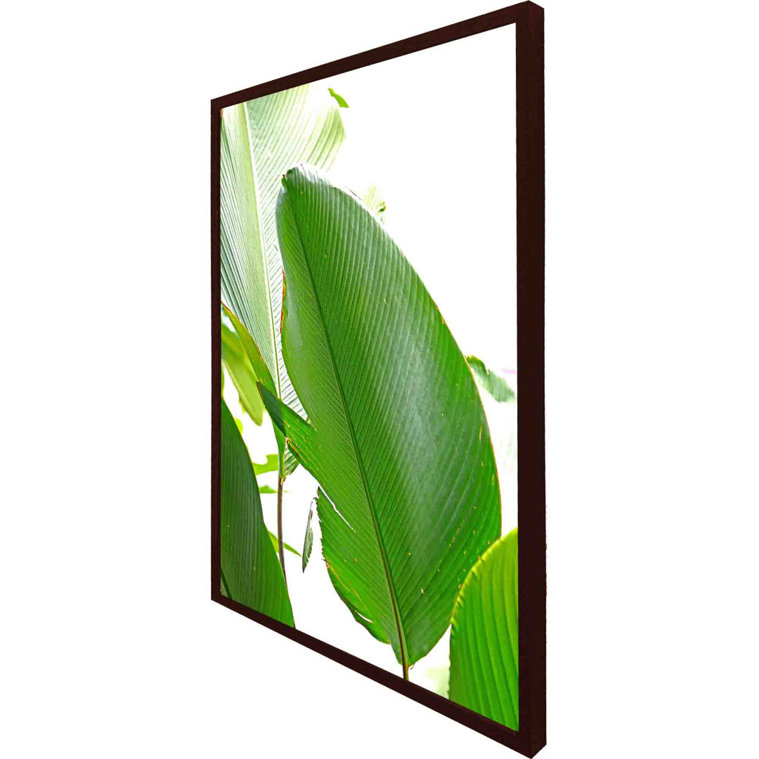 Aamanda Green Leaf - Single Picture Frame Art Prints