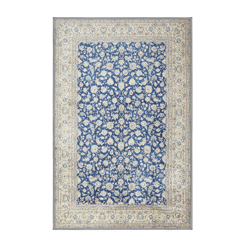 Drewry Oriental Indoor Rug, Rectangle 2' x 4'