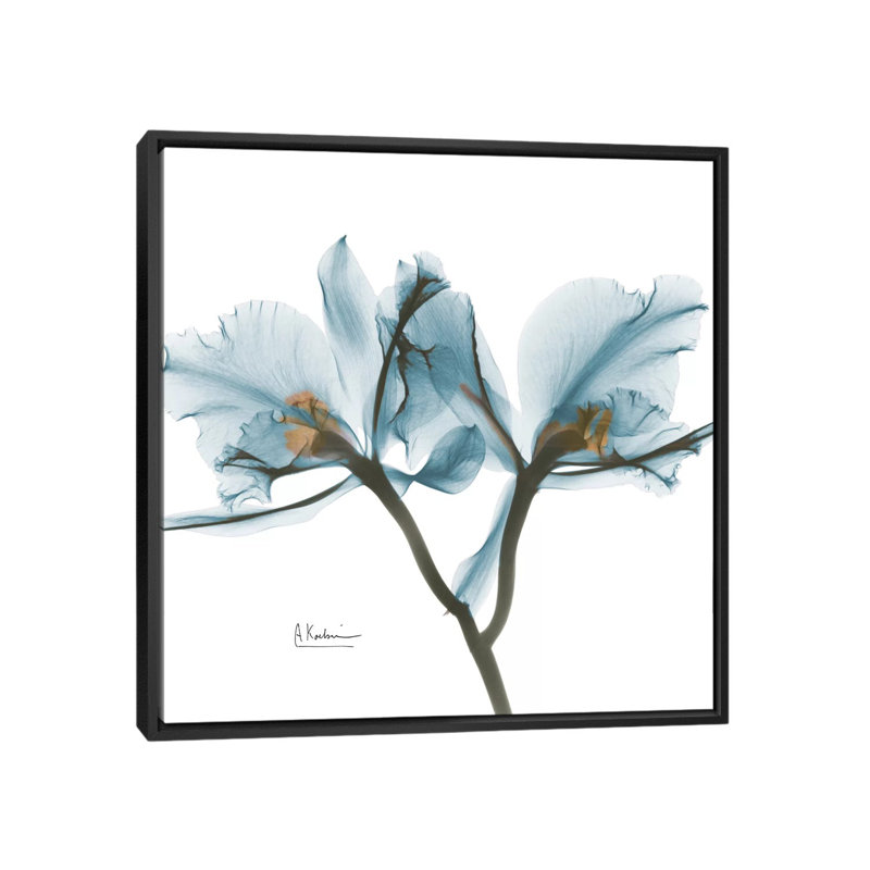 «Orchid», reproduction d'impression sur toile, H 18 po x l 18 po x P 1,5 po, Toile avec cadre noir, Pas de tapis