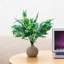 Boston Fern Leaf Arrangement