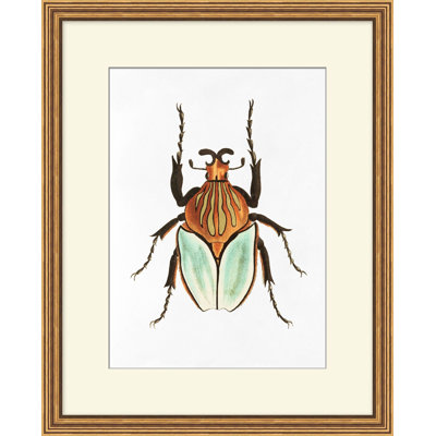 Gilded Beetle 1 Framed Print
