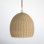 Anise Single Light Dimmable Pendant
