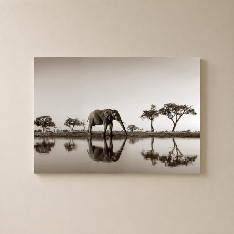 Parc du Botswana par Danita Delimont - Graphisme sur toile, H 24 po x l 36 po, Toile tendue, Ne s’applique pas