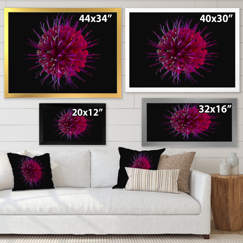 Impression sur toile mauve à motif floral cosmique, Cadre photo argenté, H 34 po x l 44 po x P 1,5 po