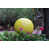Bumblebee Bright n'est pas disponible