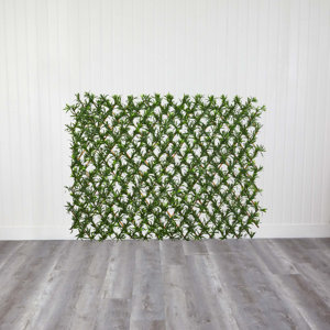 Expandable Podocarpus Fence UV Resistant & Waterproof