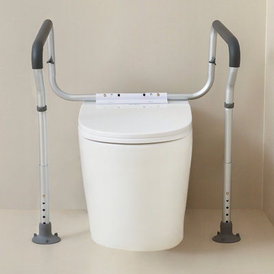 Toilet Safety Frame