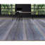 Striped Area Rug in Pink-69928271