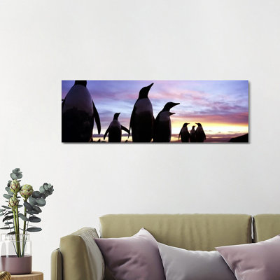 Silhouette Of A Group Of Gentoo Penguins, Falkland Islands (Pygoscelis Papua) by Panoramic Images - Wrapped Canvas Panoramic Print