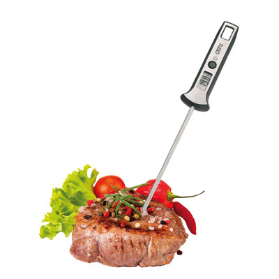 Digital-Thermometer Scala