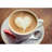 Cuisinox Stainless Steel Milk Frother