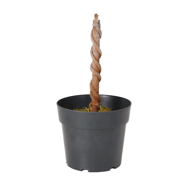 Christmas Tabletop Tree