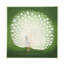 Art sur toile «ologa »