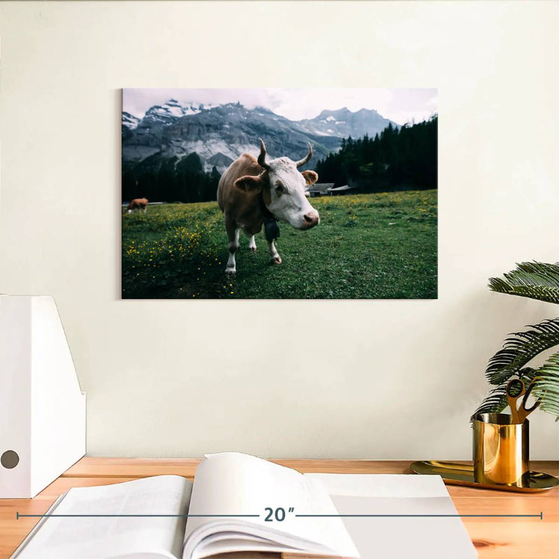Vache curieuse Brampt, H 8 po x l 12 po