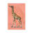 African Animals On Coral II by Studio W - Gallery-Wrapped Canvas Giclée on Canvas-1331103084