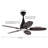 5 - Blade 42Inch Propeller Ceiling Fan with Remote Control and Light Kit Included-829576654