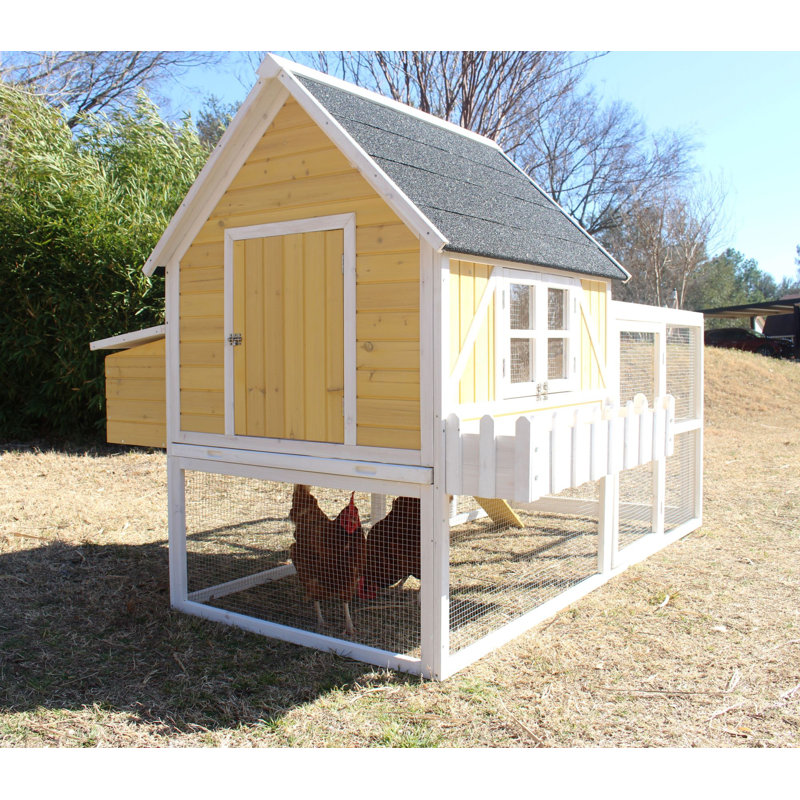 23.4 Square Feet with Chicken Run