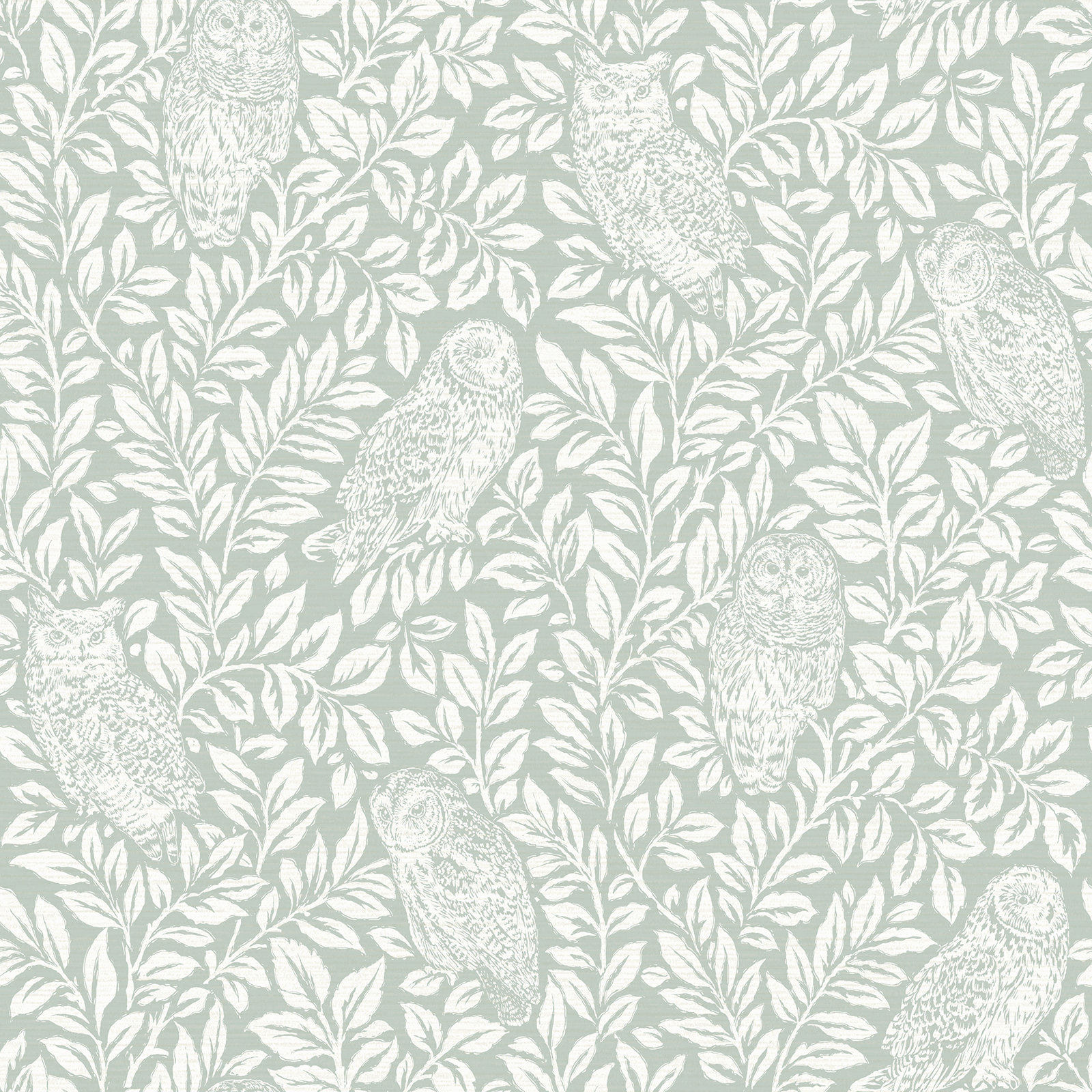 Toby Wallpaper Roll, Teal