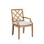 Haley Patio Dining Armchair with Cushions-38582183-70064513-70064515