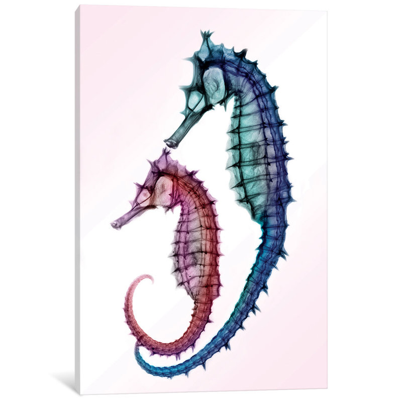 «Seahorse», impression sur toile, H 18 po x l 12 po x P 1,5 po, Toile tendue, Pas de tapis