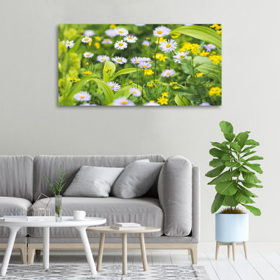 Daisies - Wrapped Canvas Print