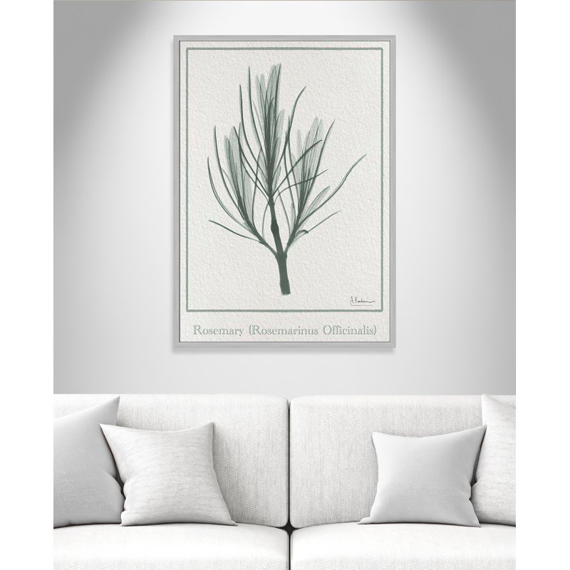 Jeanette Rosemary, reproduction d'art encadrée sur papier par Albert Koetsier, H 41,5 po x l 29,5 po x P 1,25 po