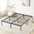 Tesfai 14'' Steel Platform Bed-823876194