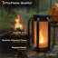 Renard flamme