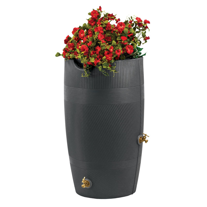 Baril de pluie 50 gallons Impressions Havana, null