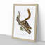 Red-Tailed Squirrel by J.W. Audubon - Picture Frame Painting Print-55778212-55778213