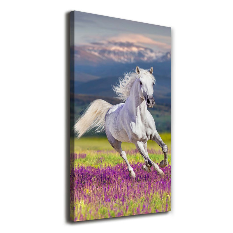 White Horse In Gallop - Wrapped Canvas Print