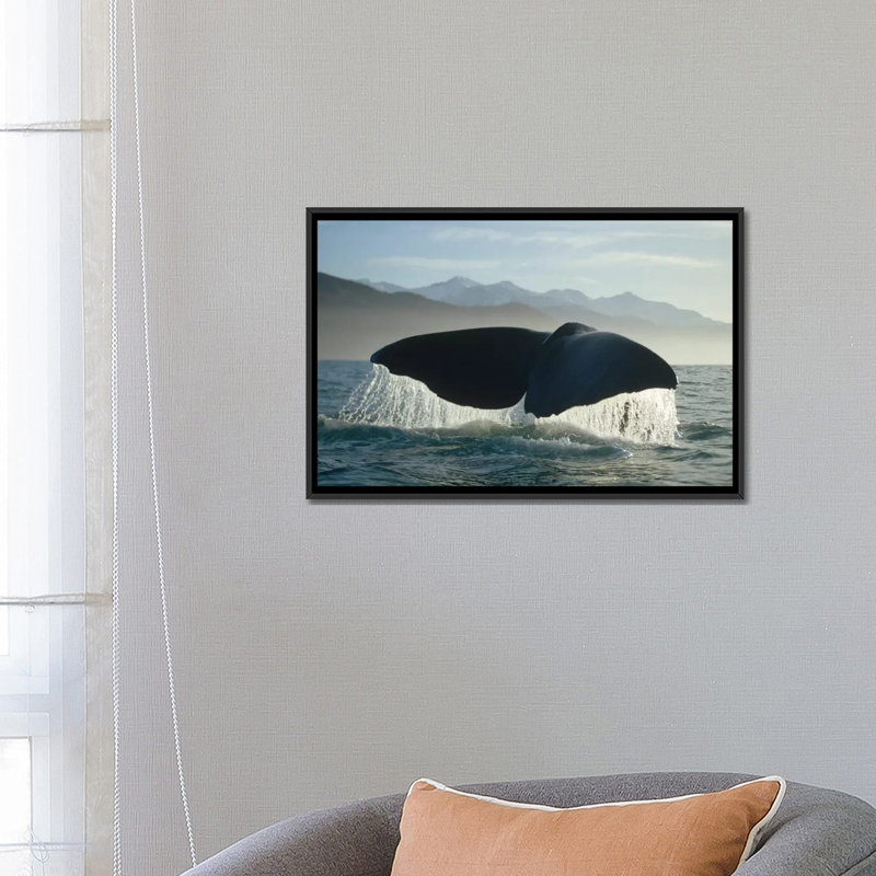 «Sperm Whale Tail, New Zealand», reproduction de photo sur toile, H 18 po x l 26 po x P 1,5 po, Toile avec cadre noir