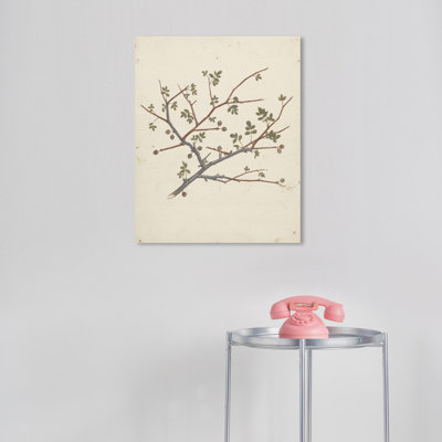Jahlil baume de Galaad sur toile