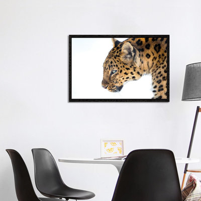 Big Cat by David Gardiner - Print on Canvas