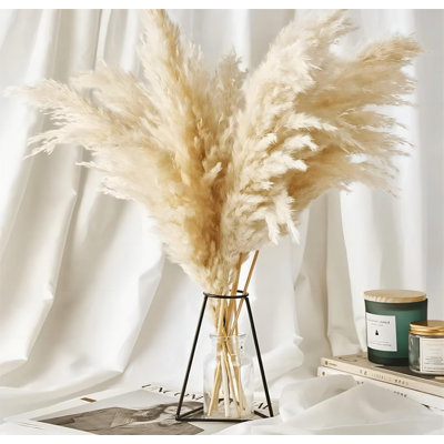 Grand tapis moelleux naturel One Stop Shop
