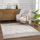 Amagae Farmhouse Moroccan Gray Area Rug