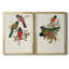 Ensemble de 2 reproductions sur toile Elegant Trogons-475934261-475934271