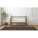 Edith Indoor Rug